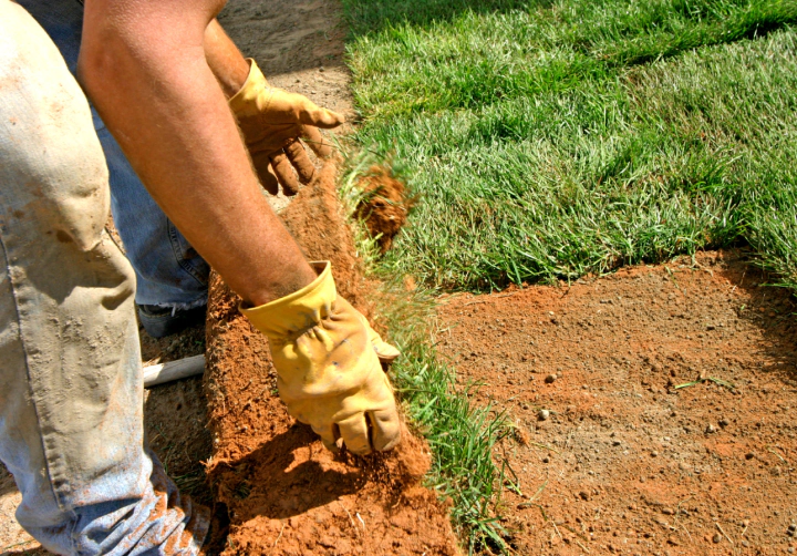 worker installing new grass